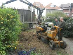 bomen rooien herkenbosch